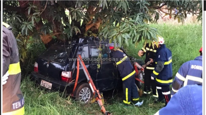 Motorista Morre E Passageira Fica Gravemente Ferida Ap S Carro Bater Em