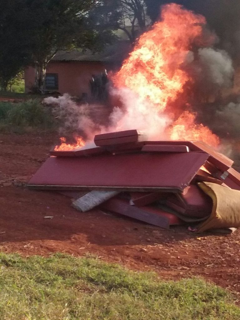 galo destruiu