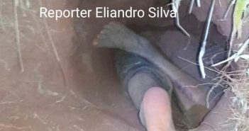 Mulher é encontrada morta em buraco de Tatu em área rural de Santa Fé
