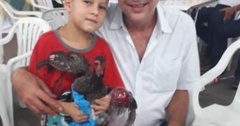 Criança leva galinha de estimação e comove moradores em leilão beneficente de Lupionópolis