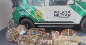 Revólver, munições e pássaros silvestres são apreendidos em operação policial em Jaguapitã