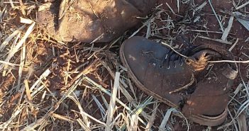 Restos mortais são encontrados nas proximidades do trevo de acesso a Lupionópolis