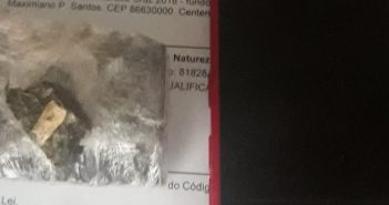 Traficante é preso em Centenário do Sul; Maconha foi encontrada dentro da geladeira
