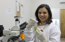 Pesquisa da UFPB cria inseticida natural que mata mosquito transmissor da dengue