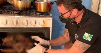 Cachorro assado é encontrado em residência de Curitiba