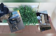Operação em combate ao tráfico de drogas em Porecatu e Centenário do Sul é realizada