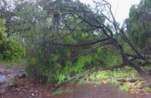 Temporal em Bela Vista do Paraíso deixa estragos e casas destelhadas