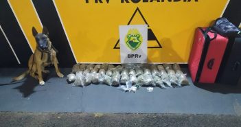 Em Rolândia, polícia apreende 15,440 quilos de droga