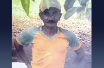 Agricultor de 72 anos morre após ser picado por cobra no Paraná